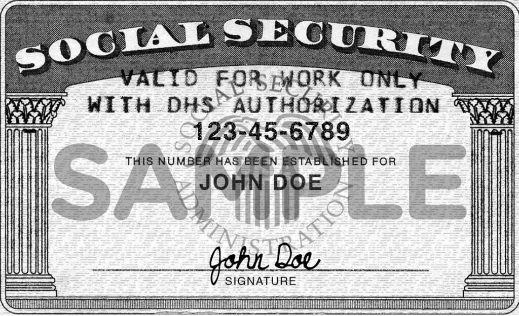 The Social Security Card 